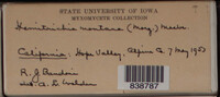 Image Associated With the Occurence